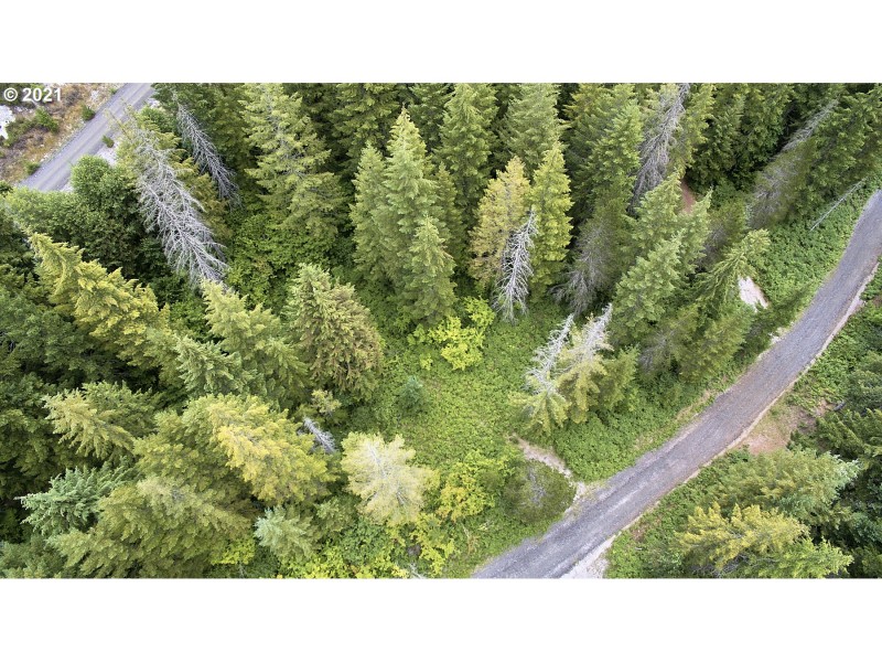 Drone View/UAV