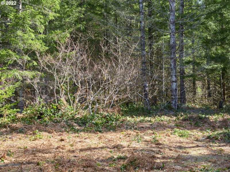 Acreage