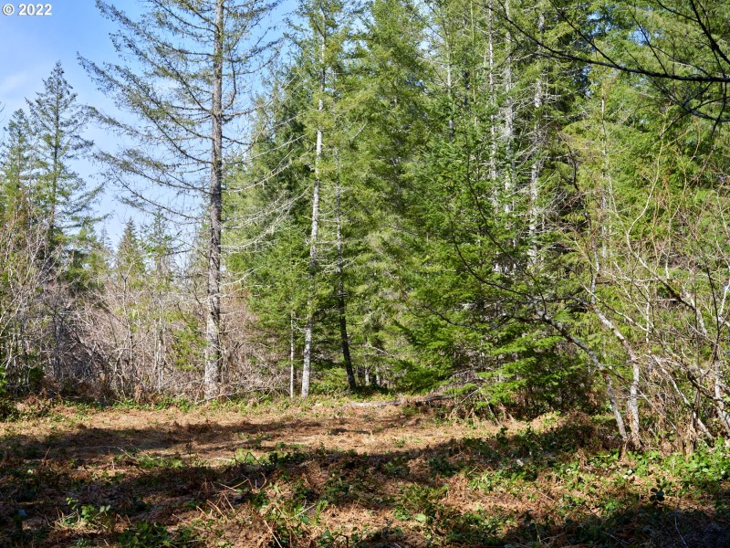 Home Site