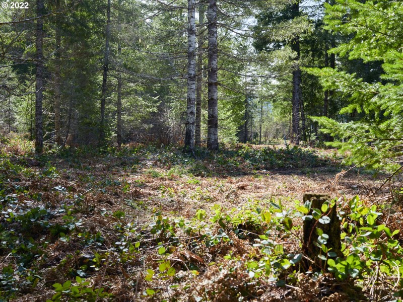 Home Site