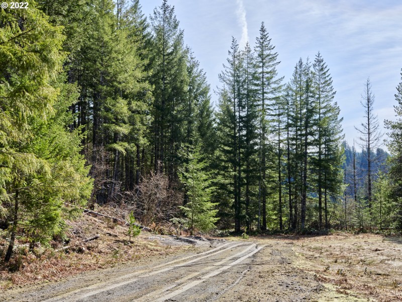 Acreage