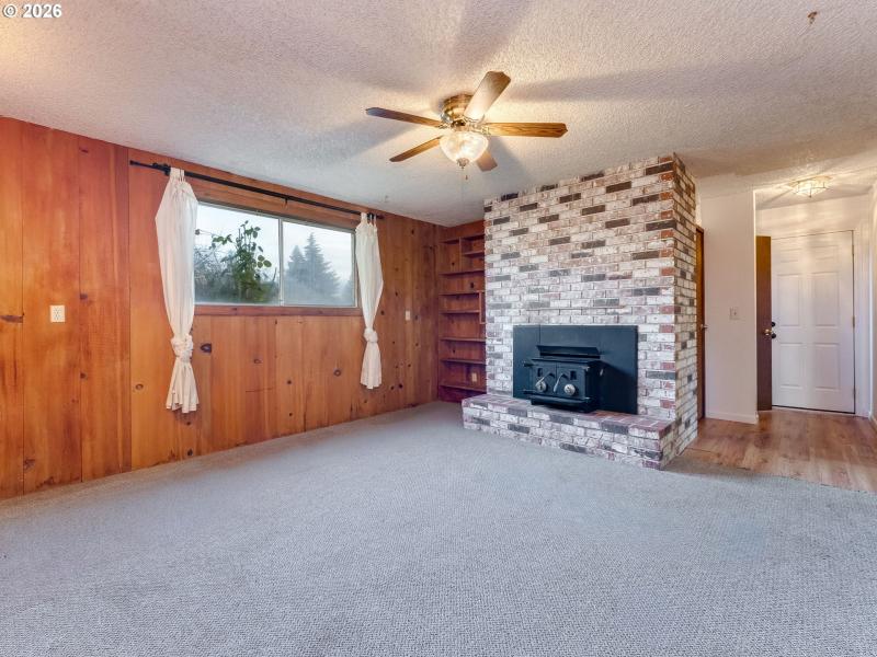 Fireplace Wood Burning Stove/Insert