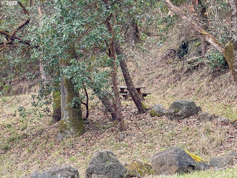 Community Park