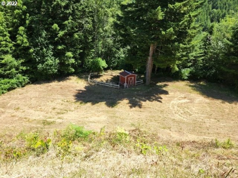 Pasture