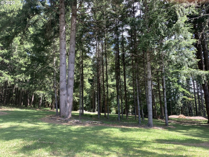Green Space