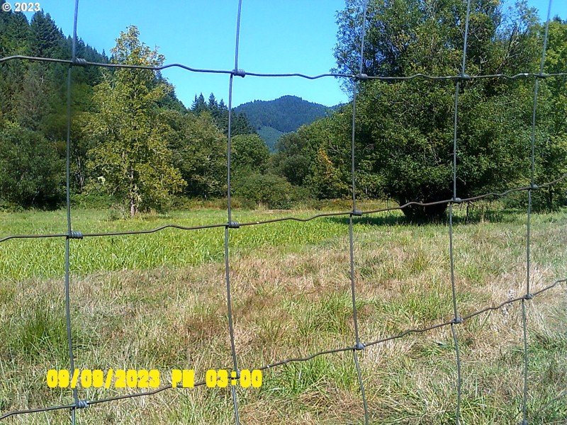 Pasture