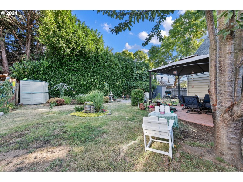 Backyard