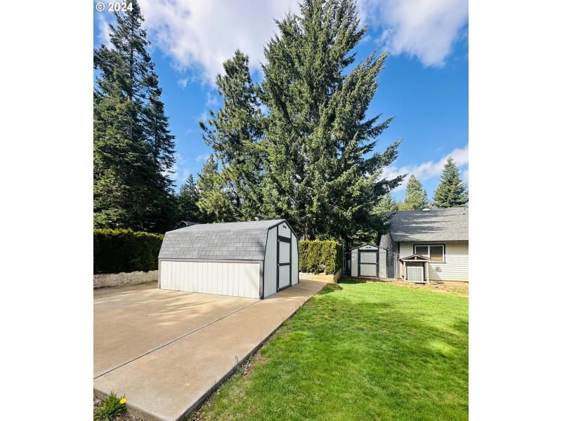 Shed