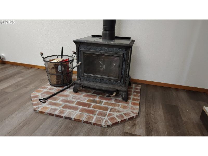 Fireplace Wood Burning Stove/Insert