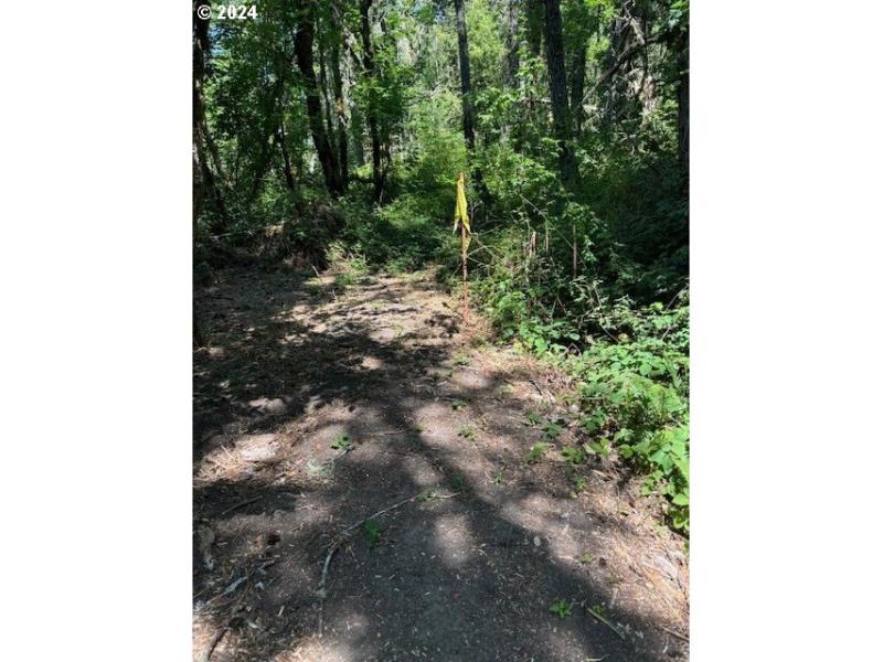 Approximate Property Lines