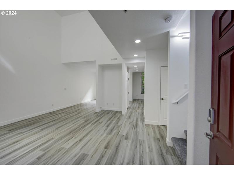 Living Room/Entrance