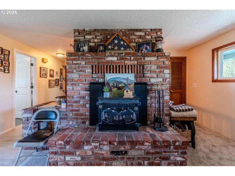 Fireplace Wood Burning Stove/Insert