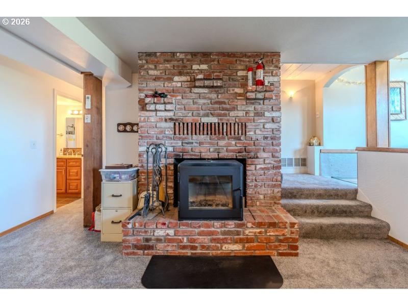 Fireplace Wood Burning Stove/Insert