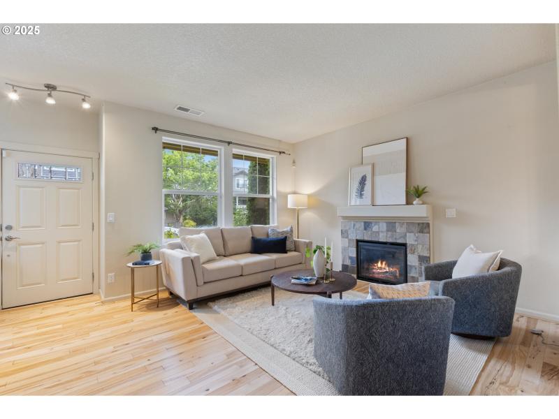 Living Room/Entrance