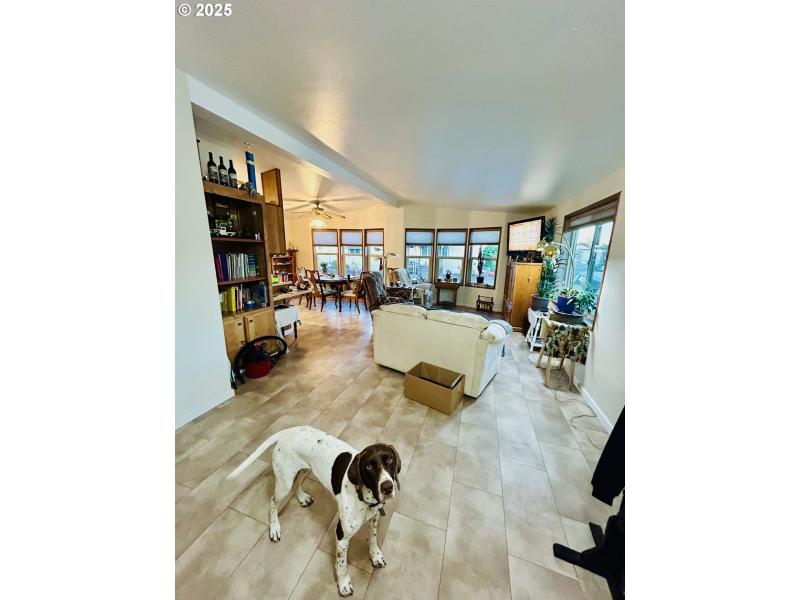 Living Room/Entrance