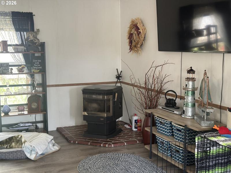 Fireplace Pellet Stove