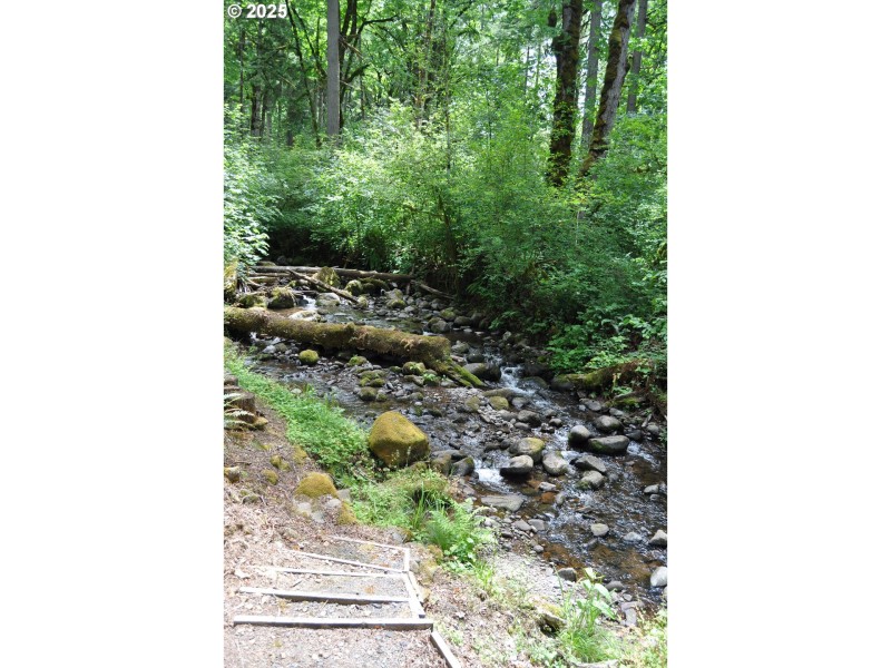 Creek