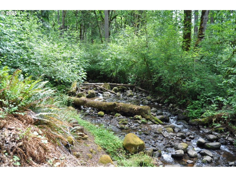 Creek