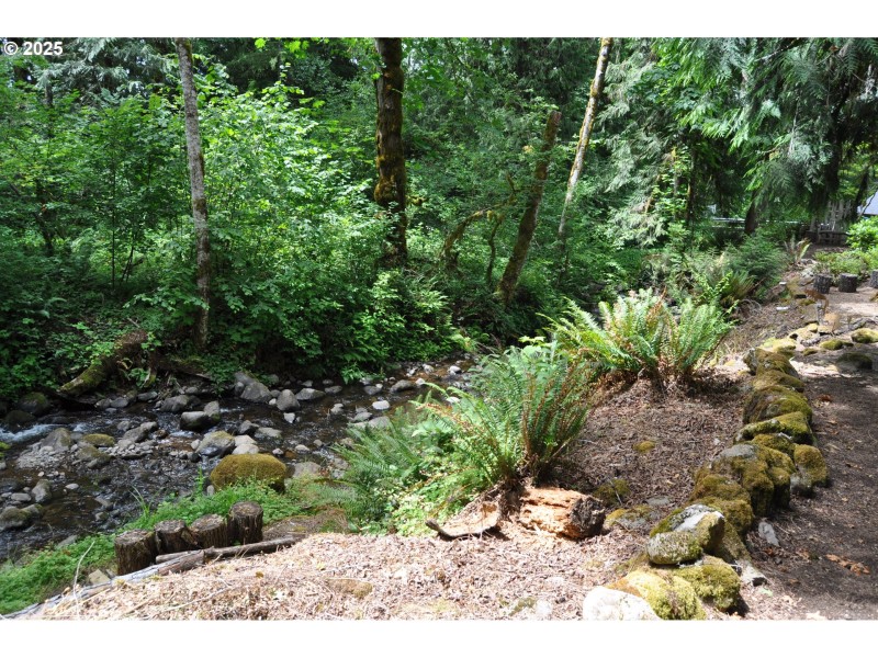 Creek