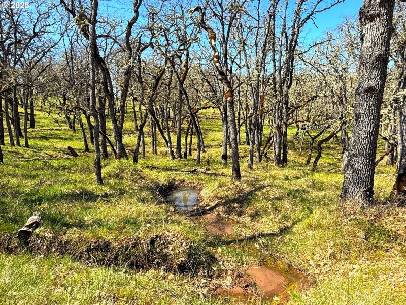 Creek