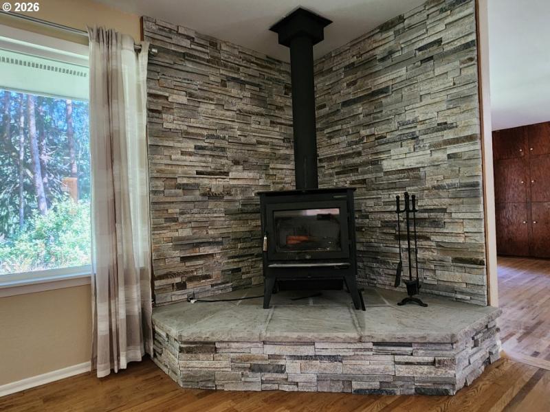 Fireplace Wood Burning Stove/Insert