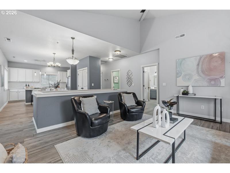 Living Room/Entrance