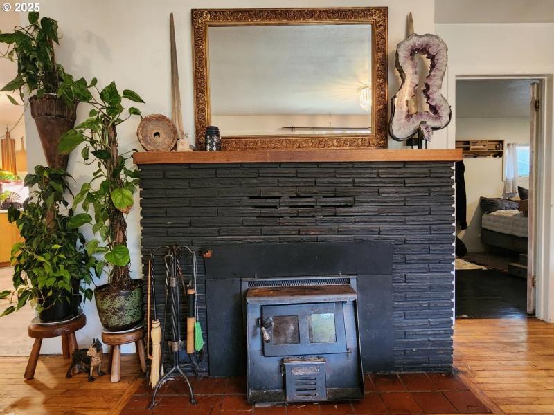 Fireplace Wood Burning Stove/Insert