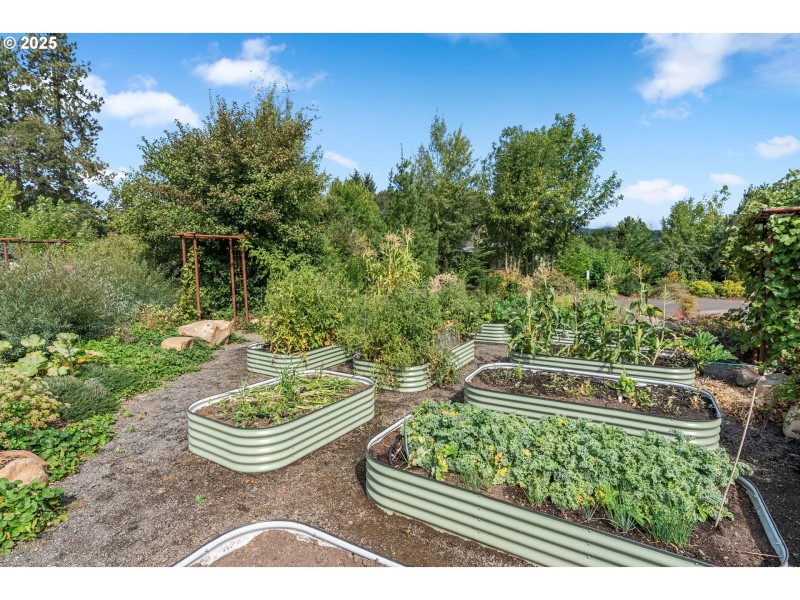 Community Garden