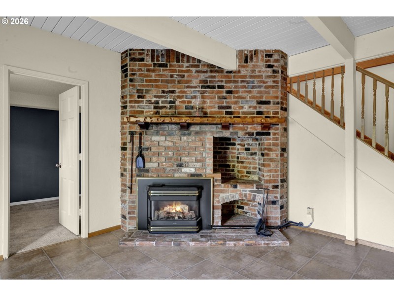 Fireplace Gas Burning Stove/Insert