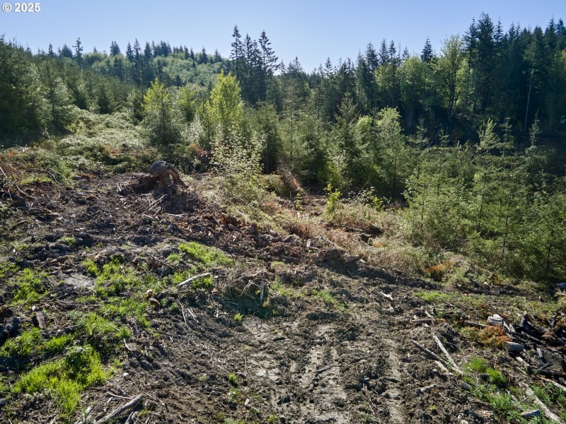 Acreage