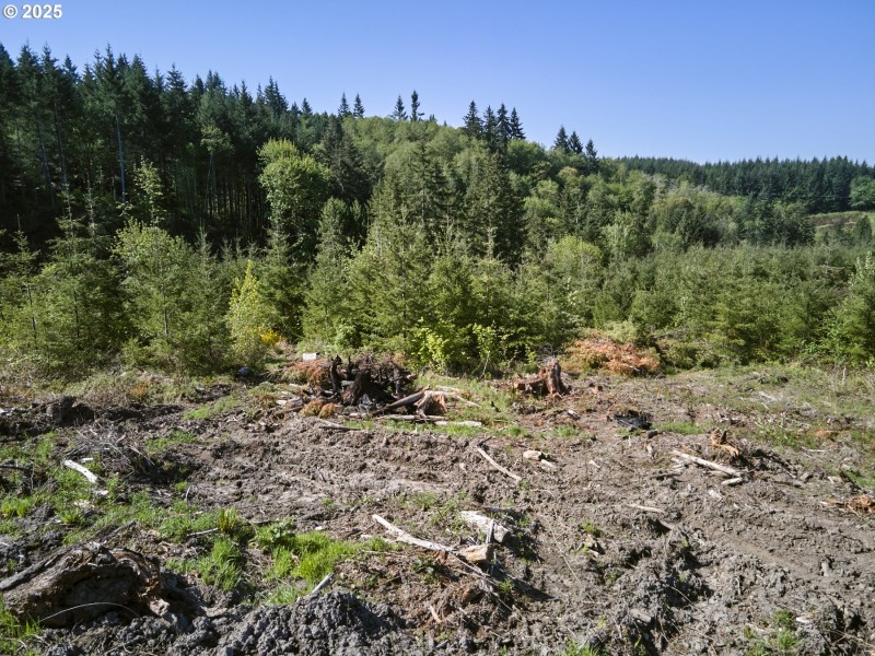 Acreage