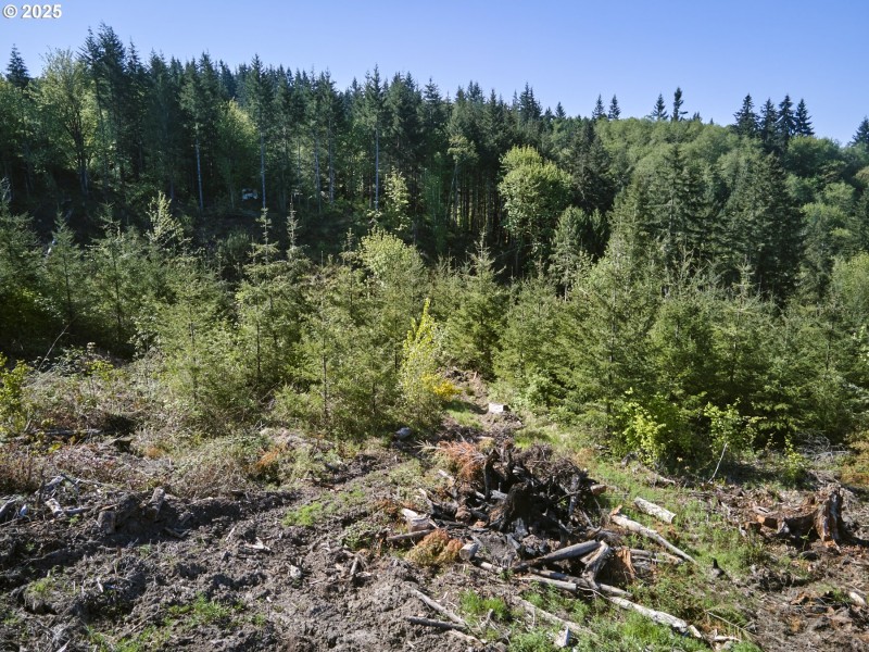 Acreage