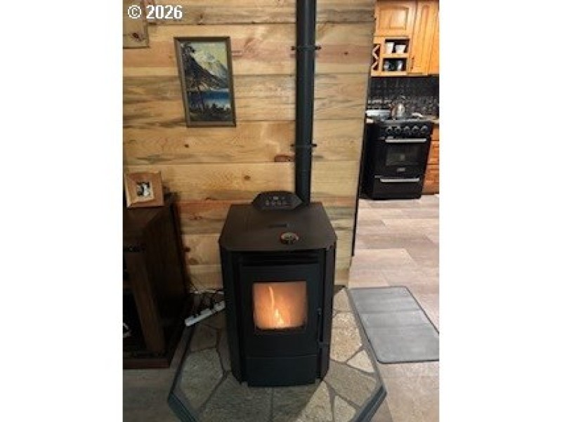 Fireplace Pellet Stove