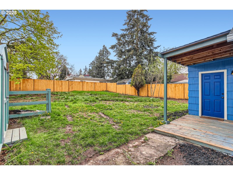 Backyard