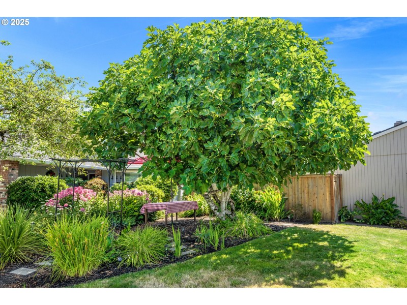 Yard