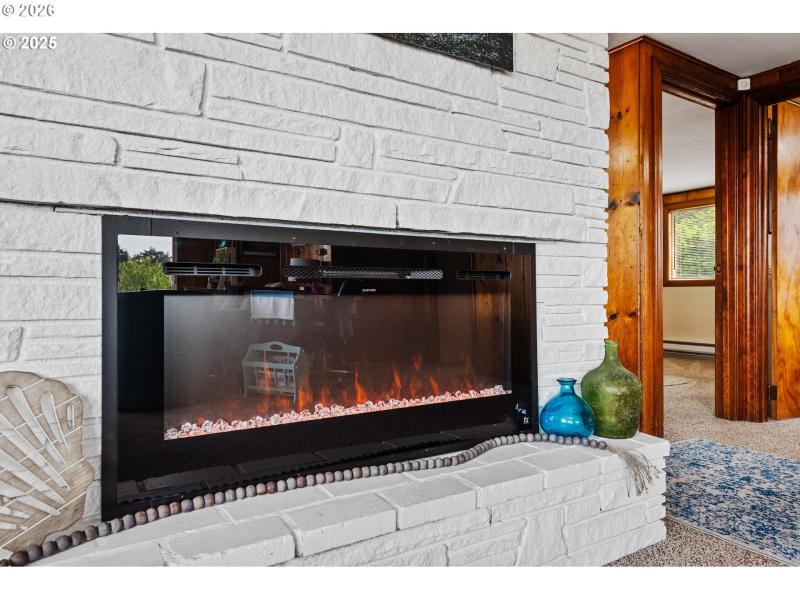 Fireplace Insert