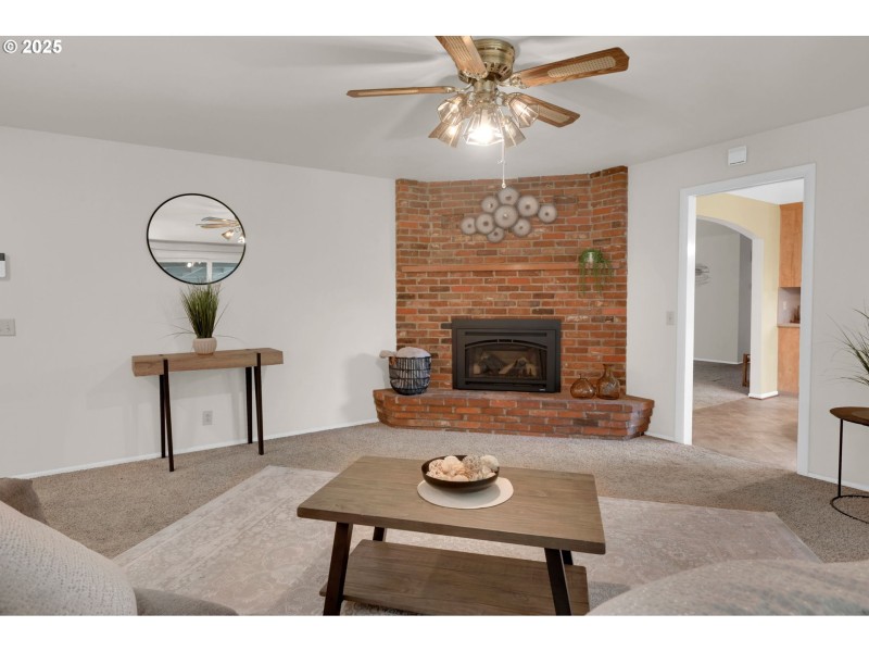 Fireplace Gas Burning Stove/Insert