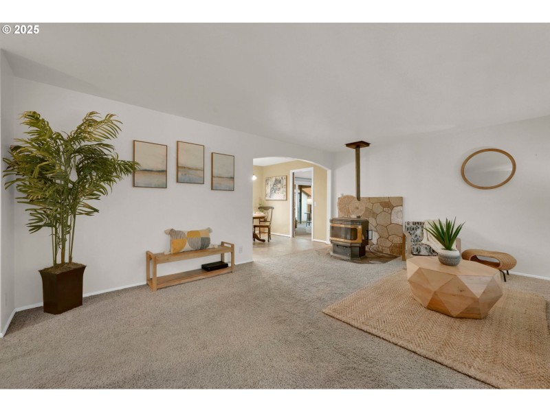 Fireplace Pellet Stove