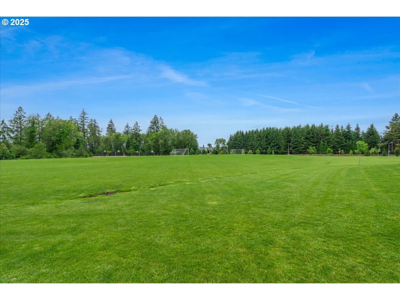 Community Park