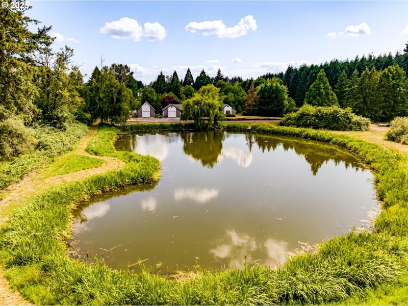 Pond