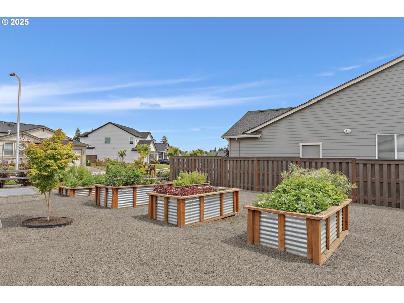 Community Garden