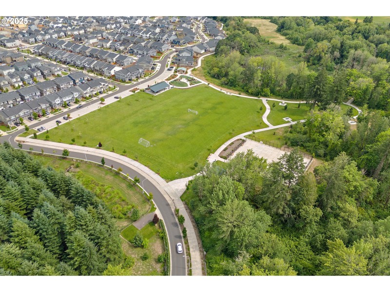 Community Park
