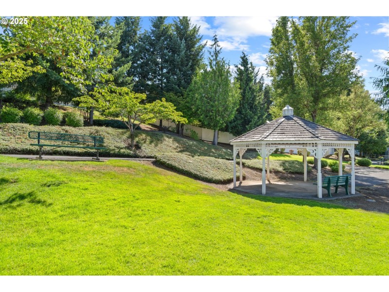 Community Park
