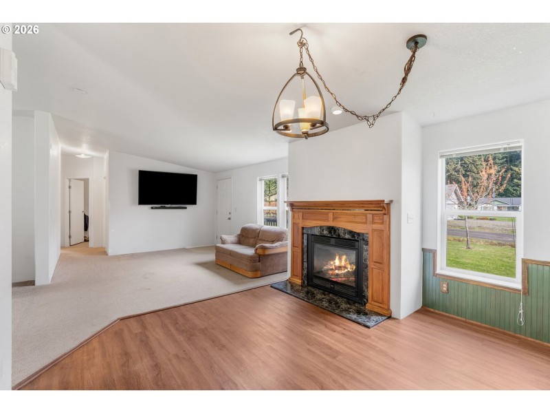 Fireplace Gas Burning Stove/Insert