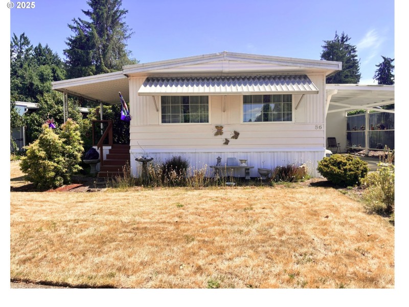 Front Yard