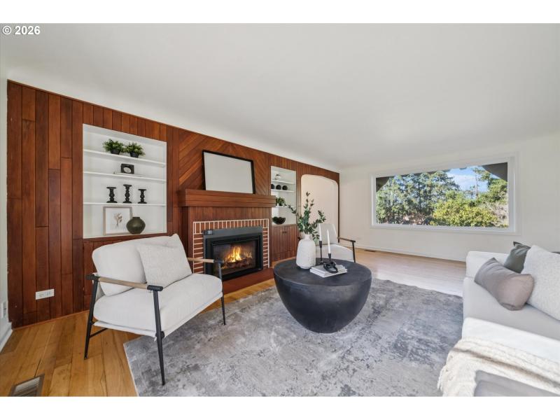 Fireplace Gas Burning Stove/Insert