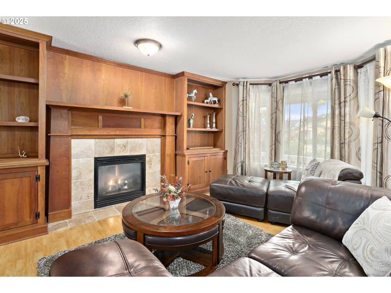 Fireplace Gas