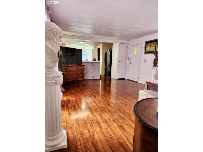 Living Room/Entrance