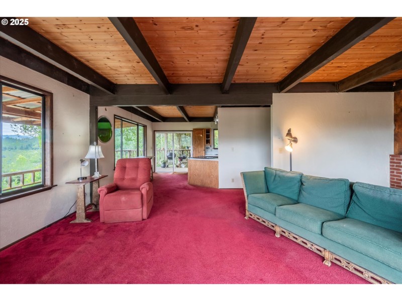 Kitchen/Living Room
