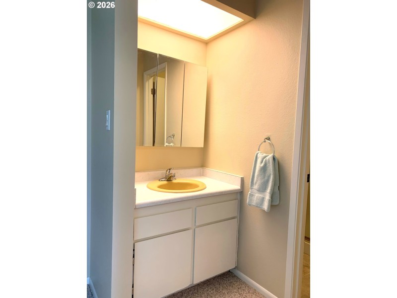 Owner's Suite Bathroom